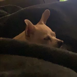 Meet your Posher, Rebecca